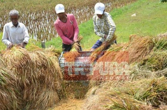 Incessant rainfall creates havoc, farmers suffers heavy loss